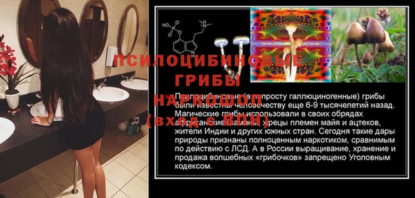 прущие крисы Балахна